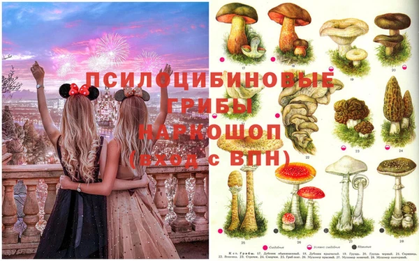трава Гусев