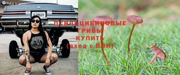 твердый Гусиноозёрск