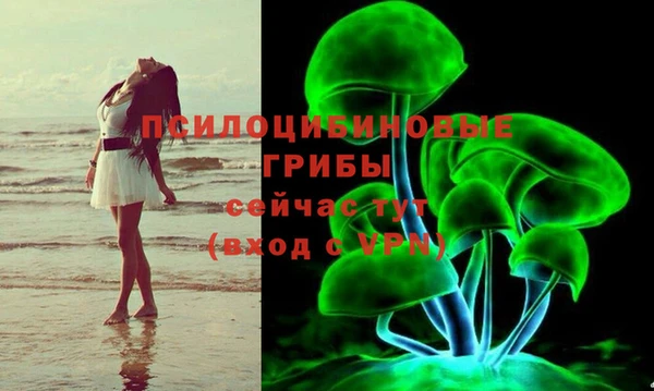 твердый Гусиноозёрск