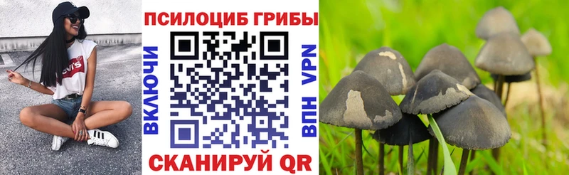 где купить Яранск Галлюциногенные грибы MAGIC MUSHROOMS