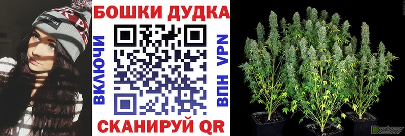 Бошки Шишки сатива Яранск